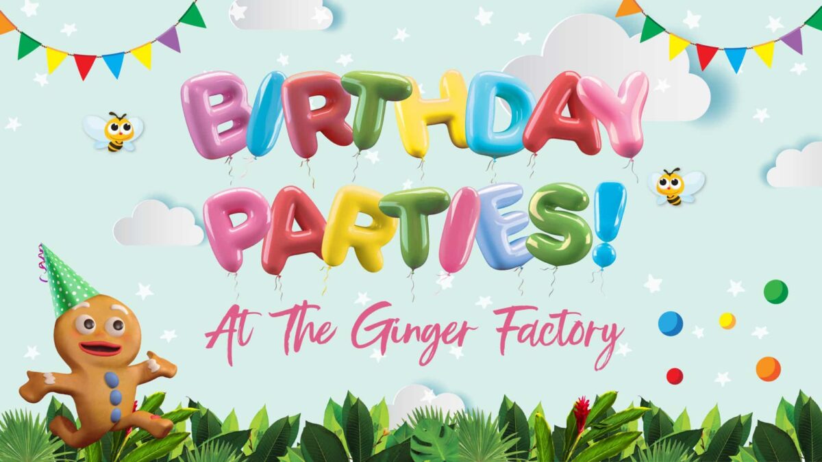 Birthday Party Package 2023 02 02 06