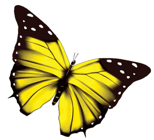 Yellow Butterfly 1s Transparent Sm